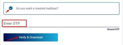 tick-mark-masked-aadhar-option